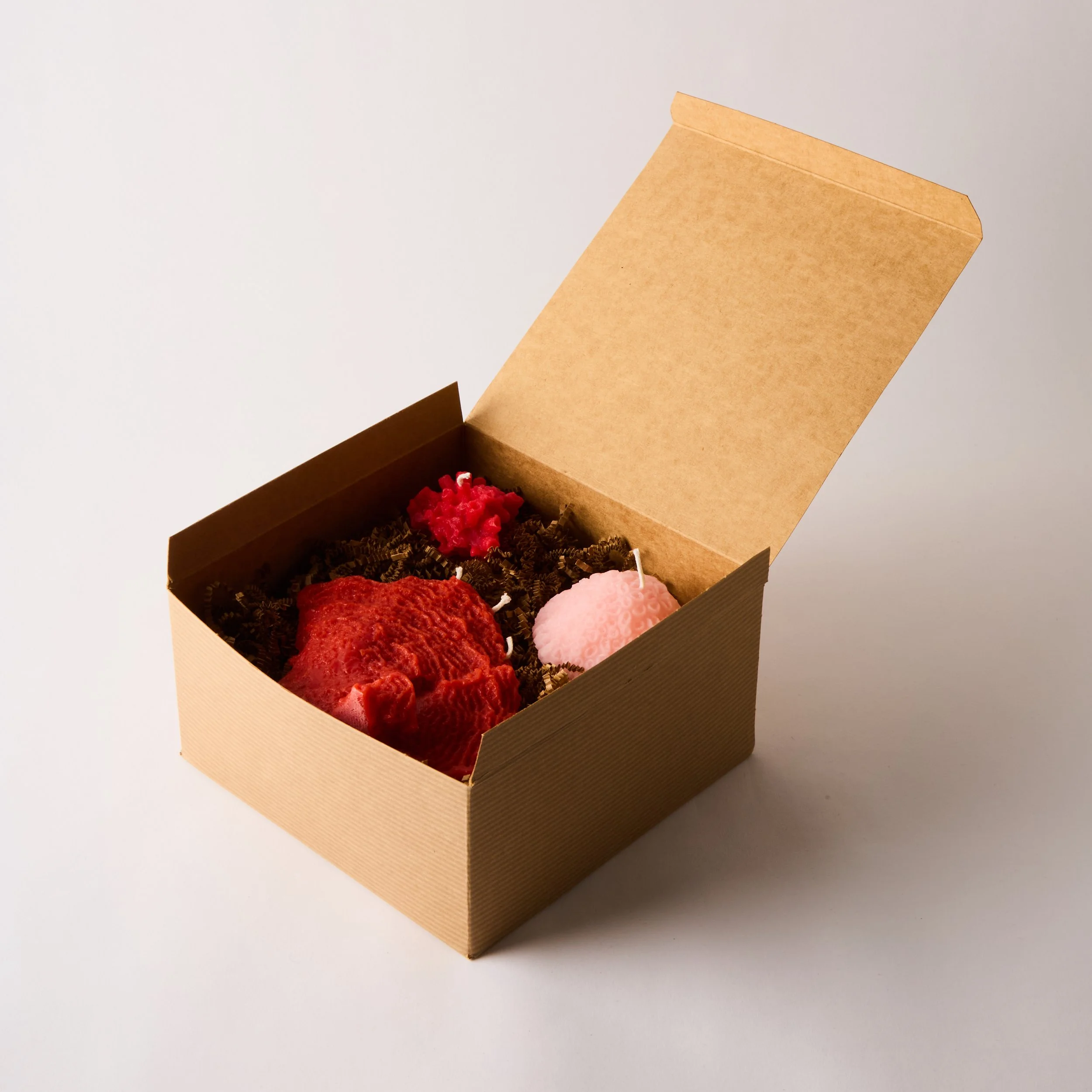 L-OUVRIERE_CORAL-TRIO_2090.jpg