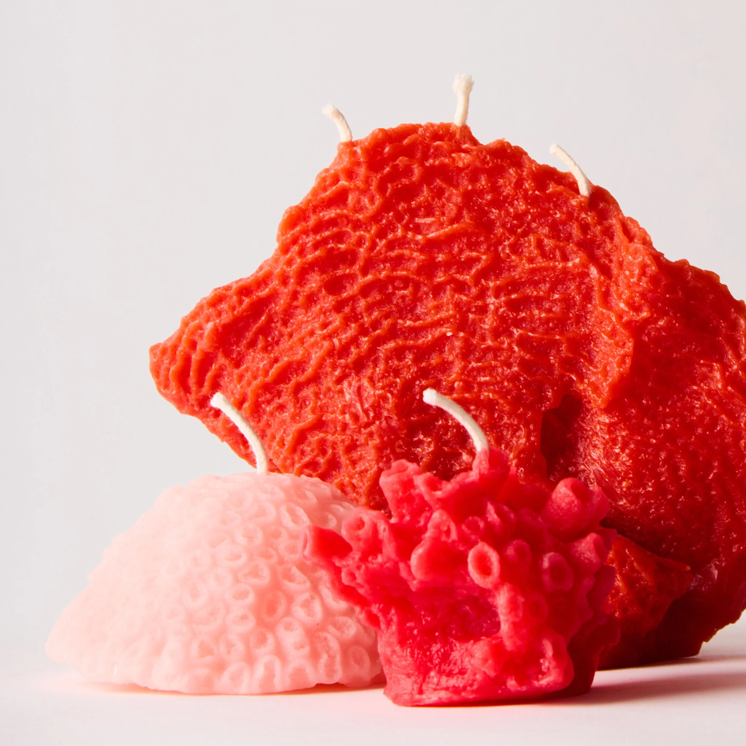 L-OUVRIERE_CORAL-TRIO_2073.jpg