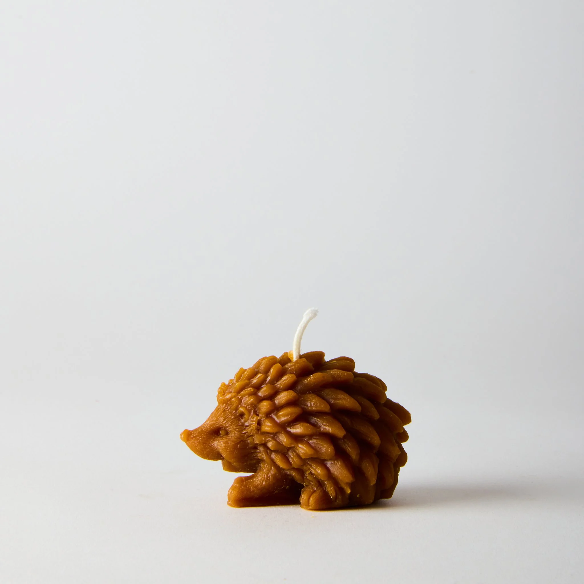 hedgehog