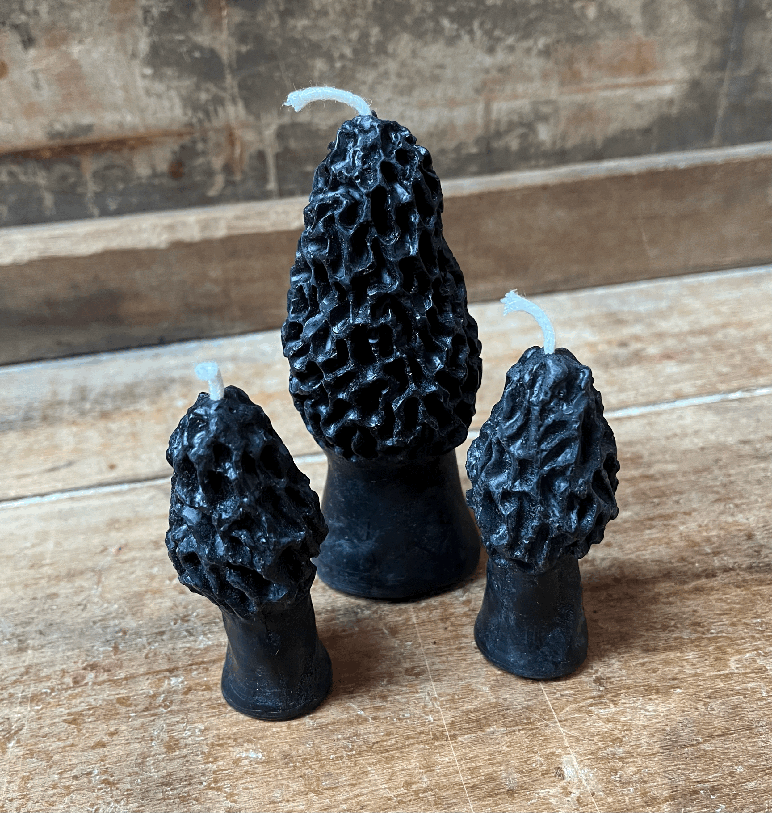 Morels- Set of 3