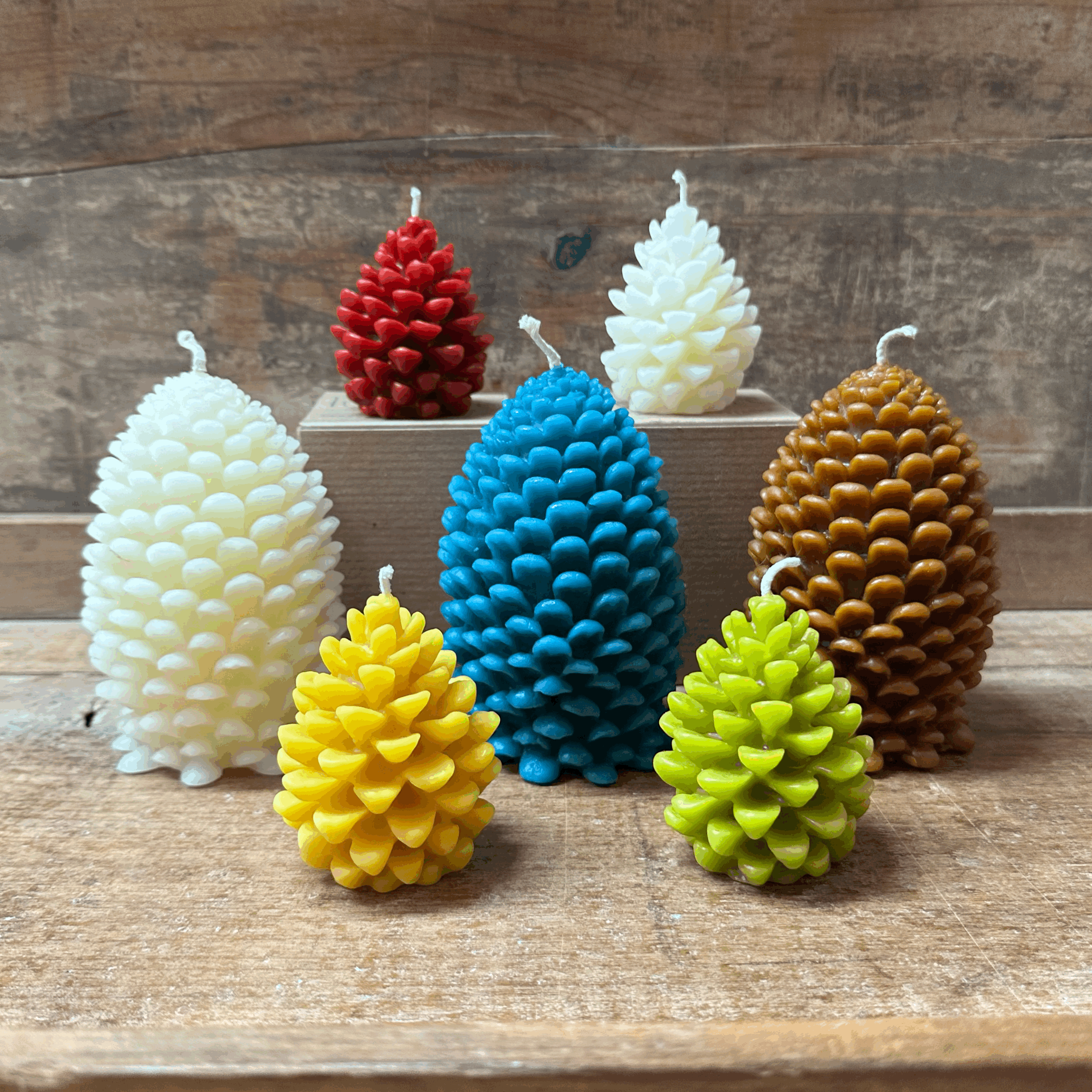 pine cones