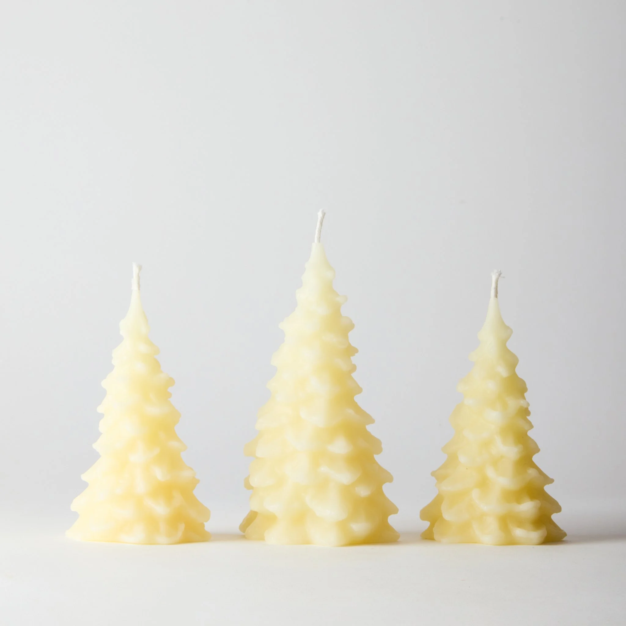 L-OUVRIERE_PINE-TREE_CREAM_1190.jpg