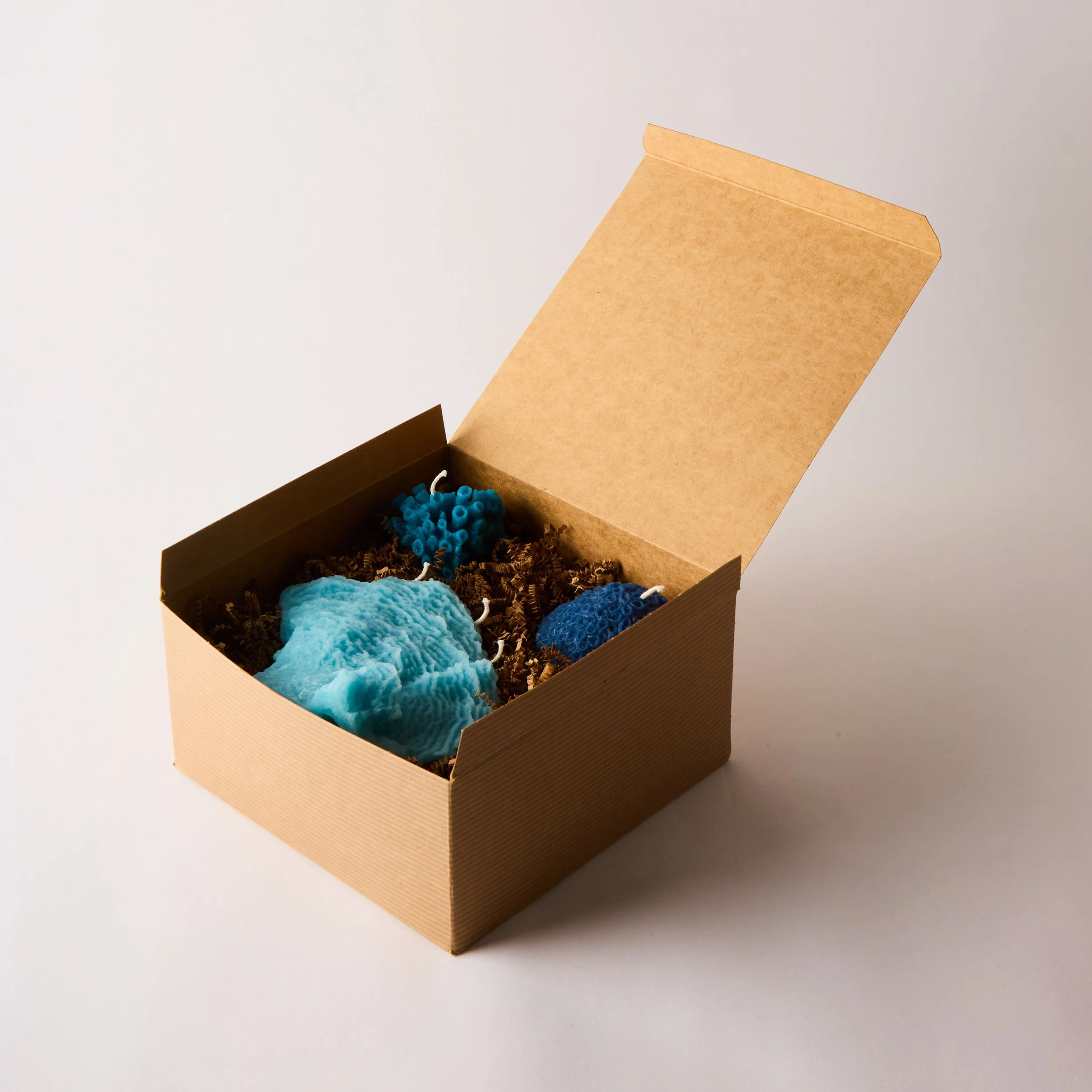 L-OUVRIERE_CORAL-TRIO_2088.jpg