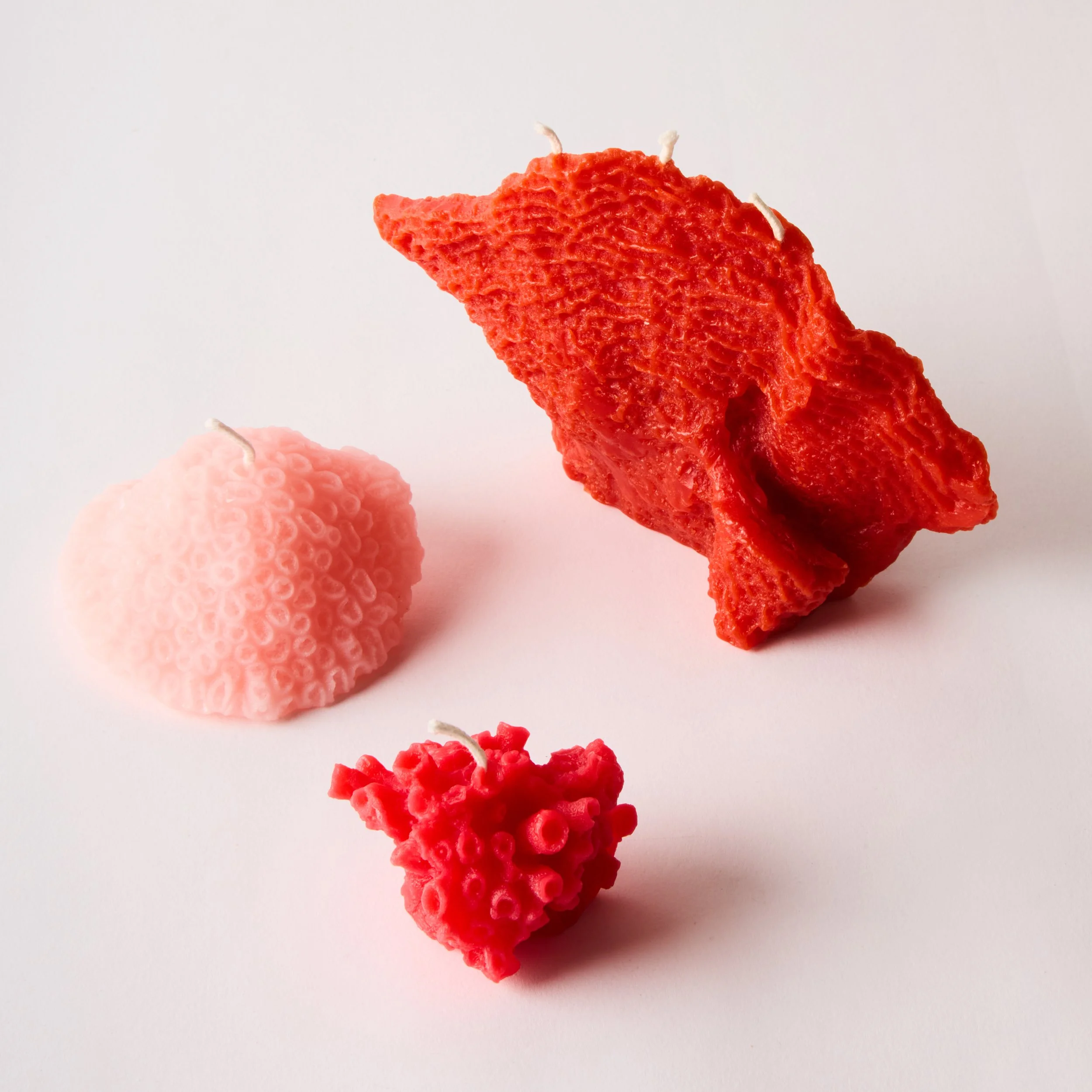 L-OUVRIERE_CORAL-TRIO_2068.jpg