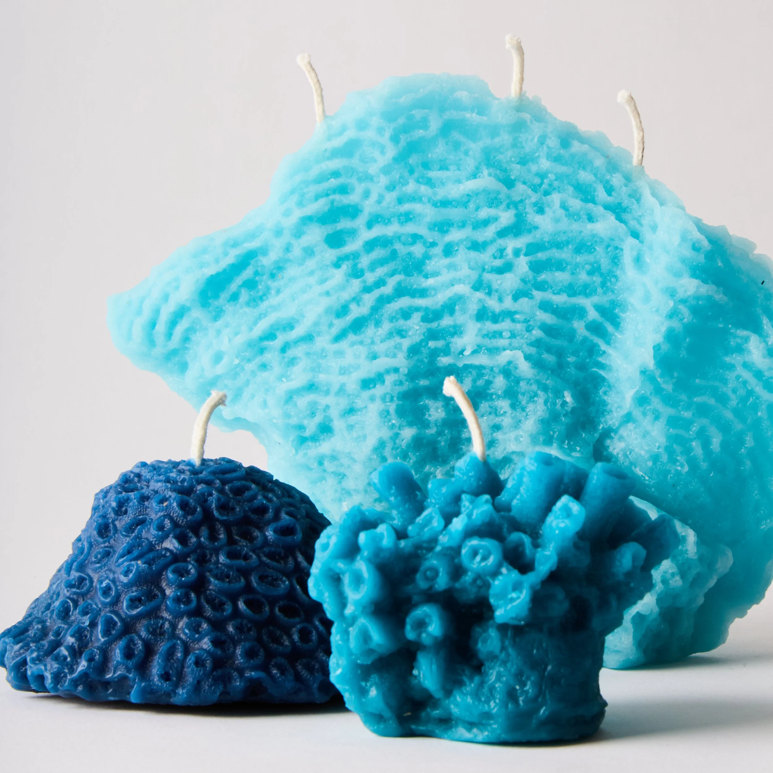 L-OUVRIERE_CORAL-TRIO_2077.jpg