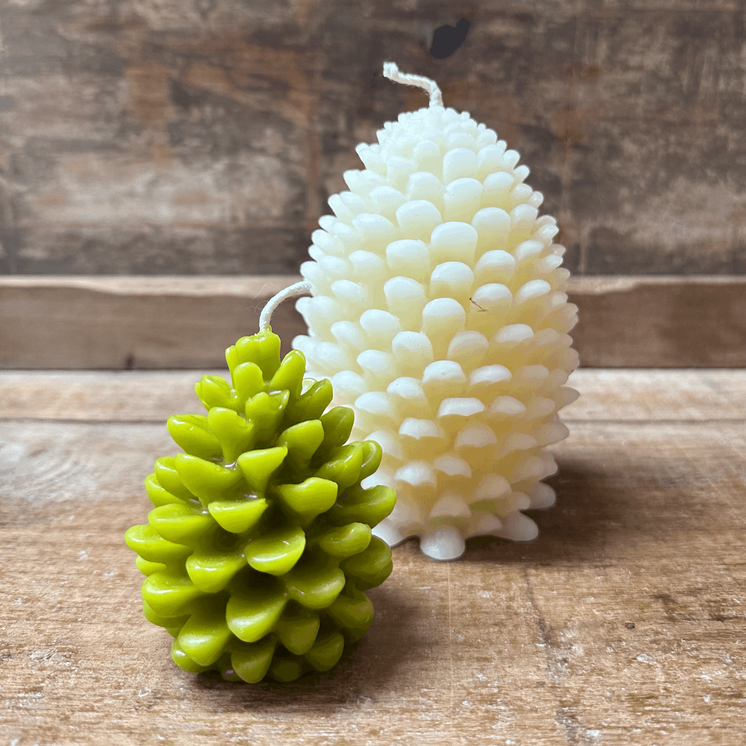 tempImageOrQaiG.gif (Copy)