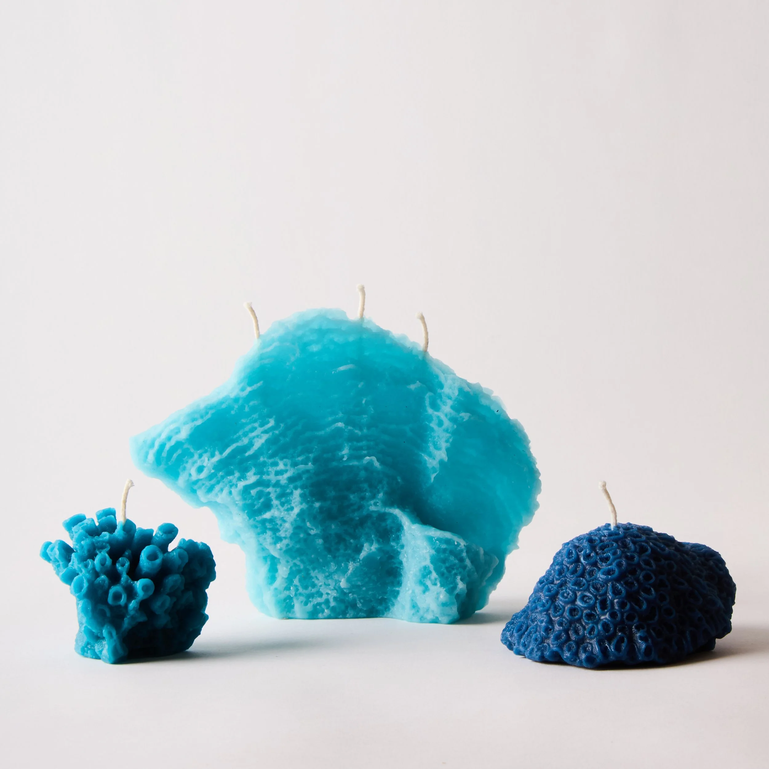 L-OUVRIERE_CORAL-TRIO_2081.jpg
