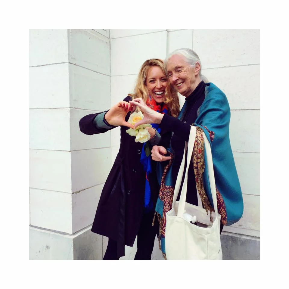 Le Dr Jane Goodall - 13 mai 2017