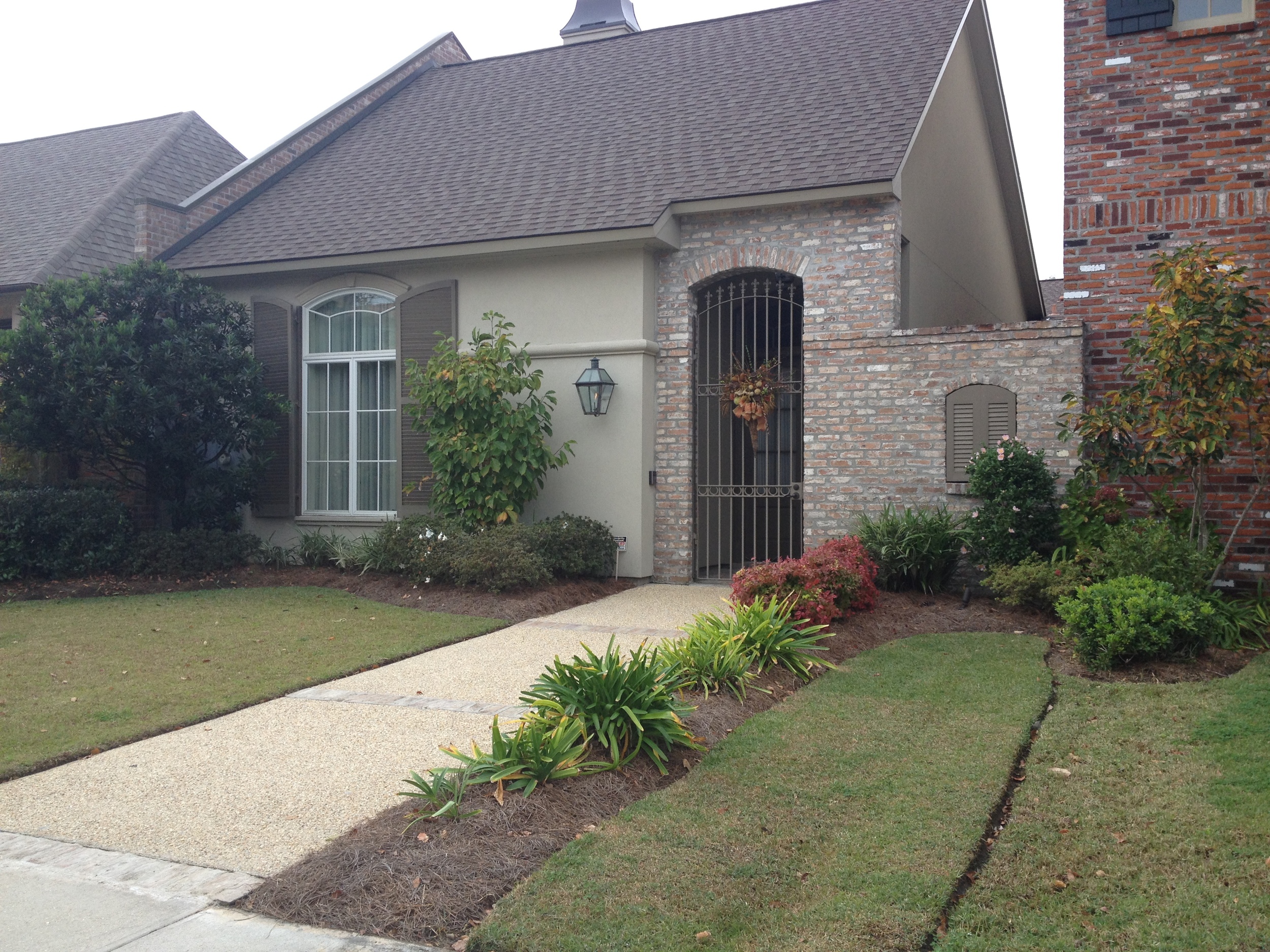 Front yard before