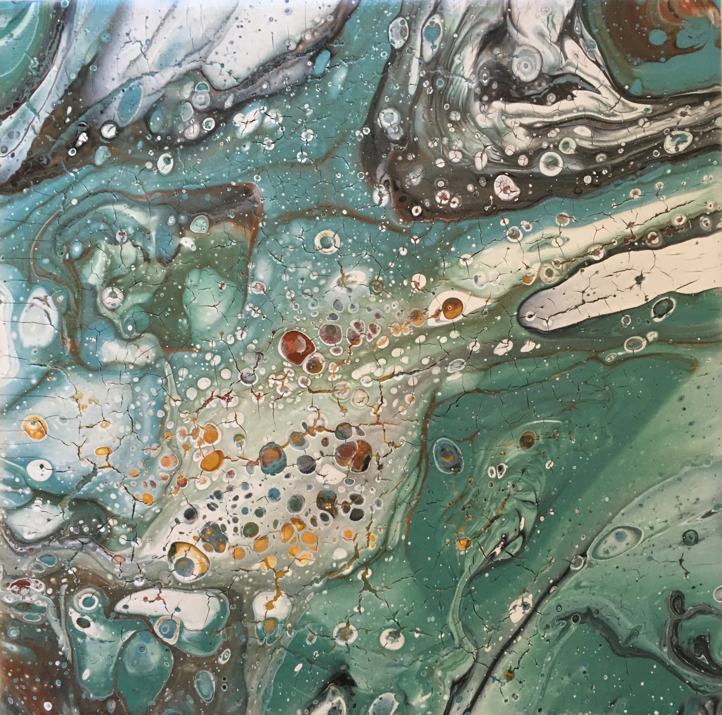 Tide Pool #4