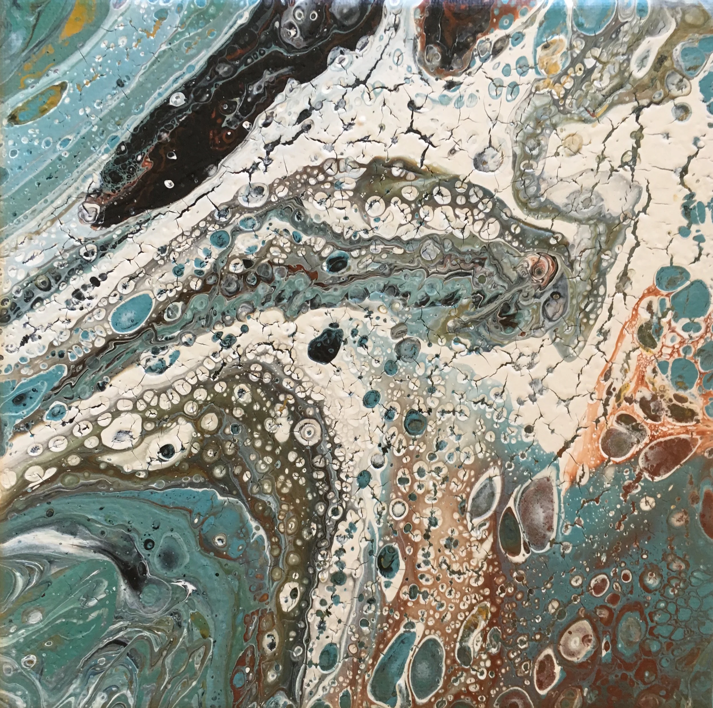 Tide Pool #5