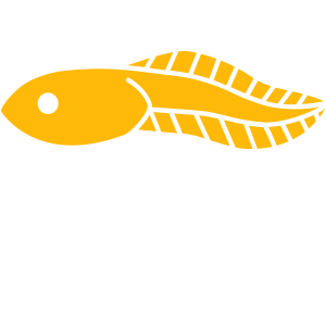 Tadpoles.png