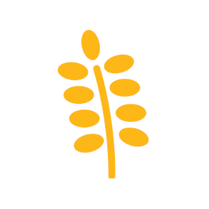 mainspring_bb_v2.png