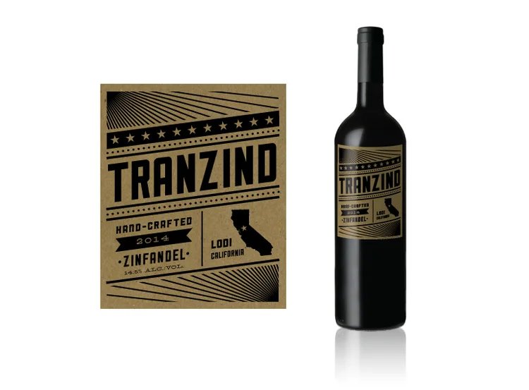 Tranzind-Concept1b.jpg