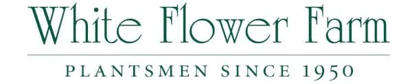 wff_logo.jpeg