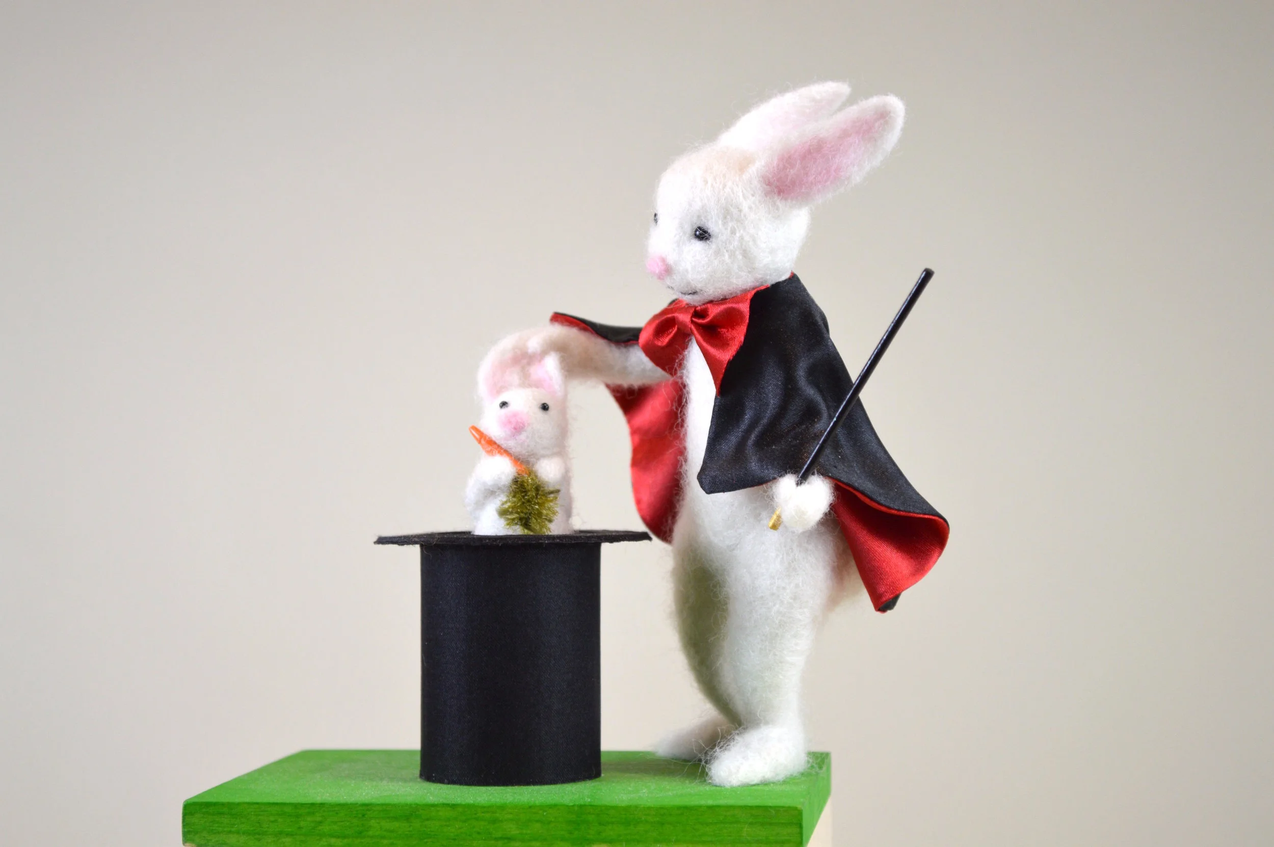 Magic Act Close-Up.jpg