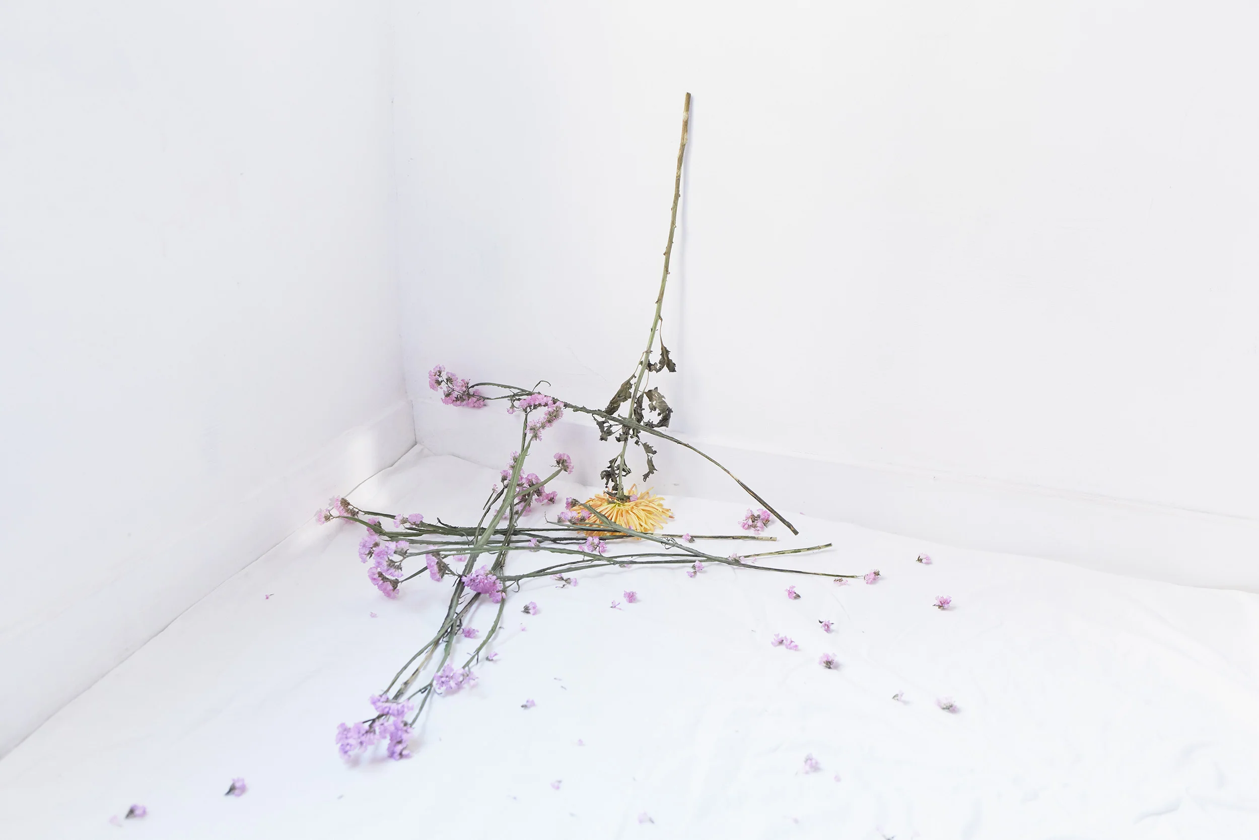 1710_Journal_1141.jpg