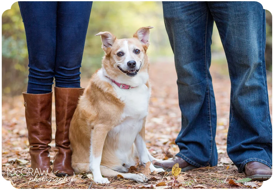 Charlotte NC Pet Photographer