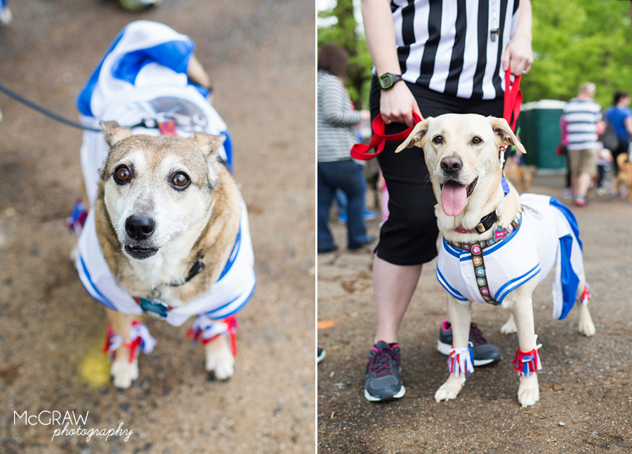 2015PetPalooza_2.jpg