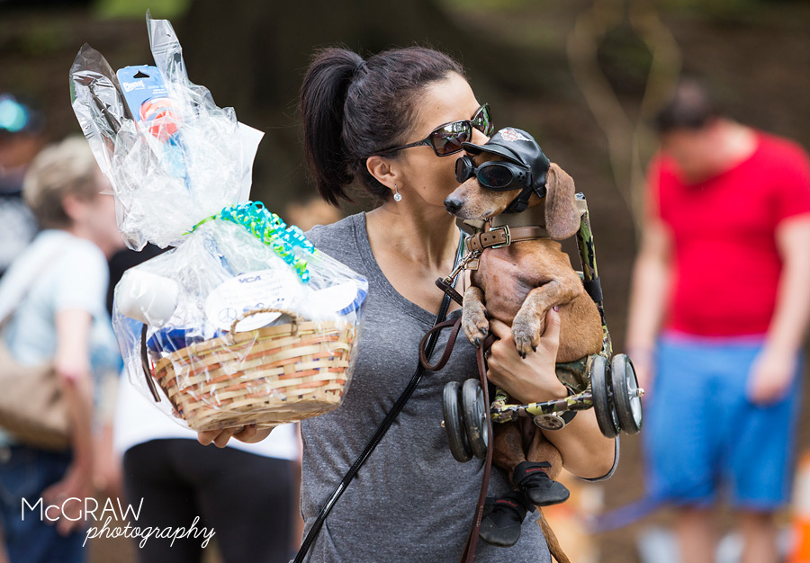 2015PetPalooza2.jpg