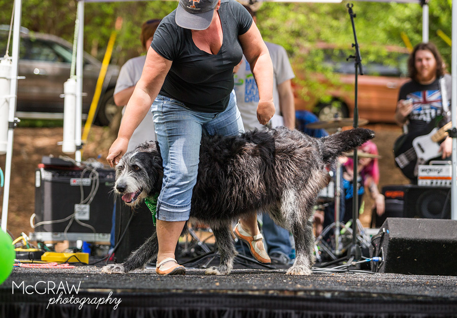 2015PetPalooza4.jpg