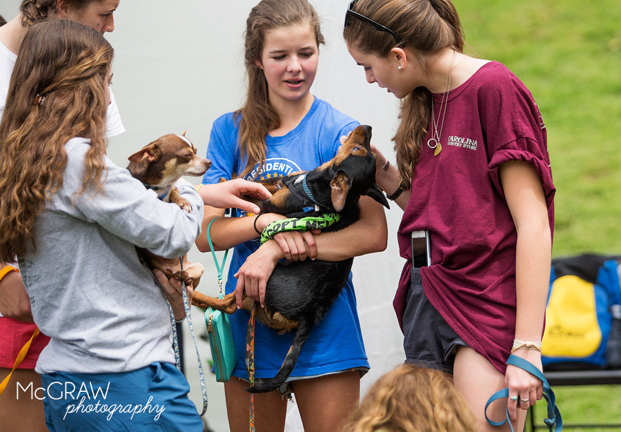 2015PetPalooza11.jpg