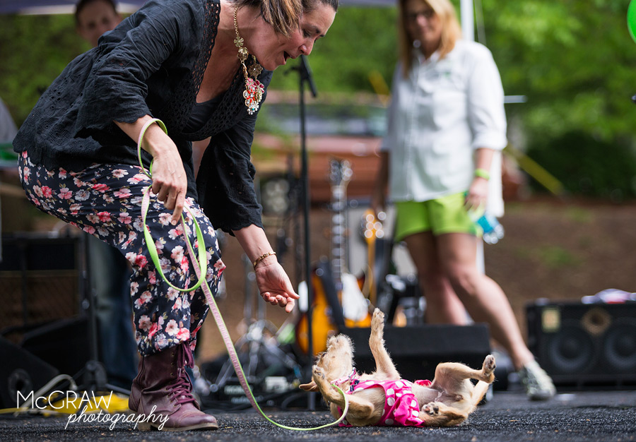2015PetPalooza16.jpg