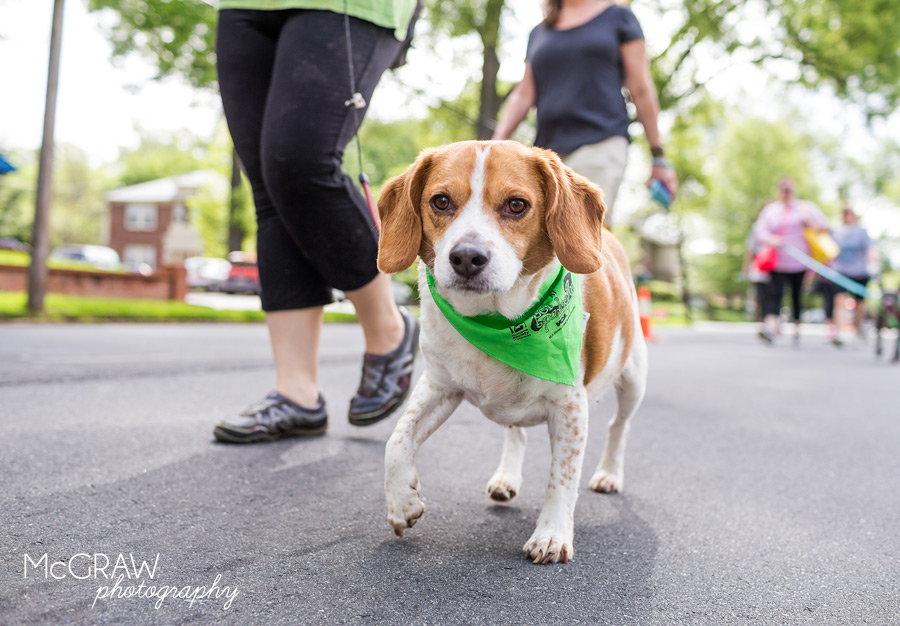 2015PetPalooza38.jpg