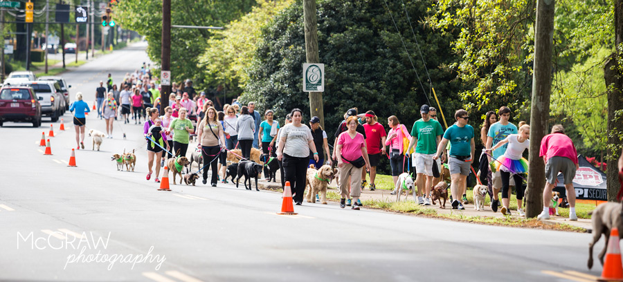 2015PetPalooza40.jpg