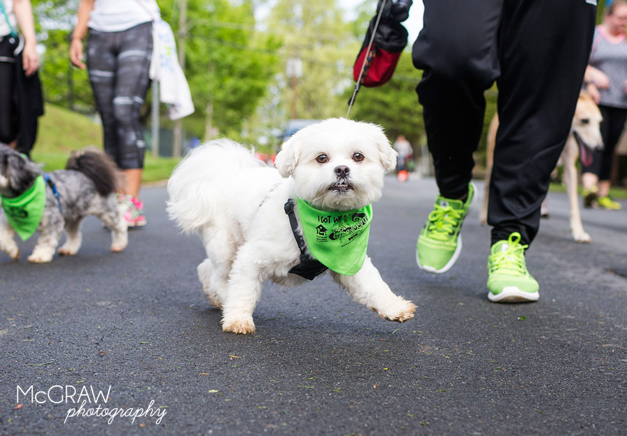 2015PetPalooza41.jpg