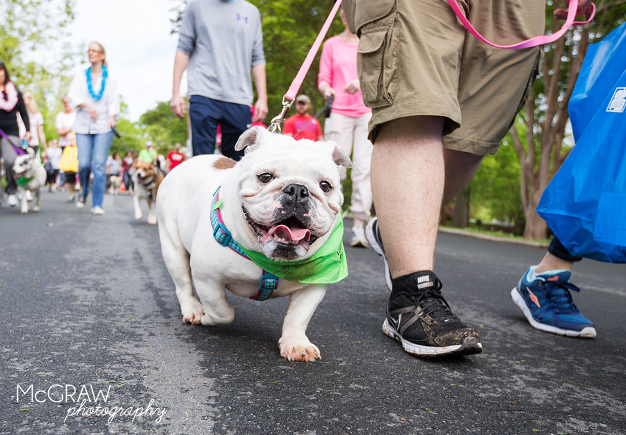 2015PetPalooza42.jpg