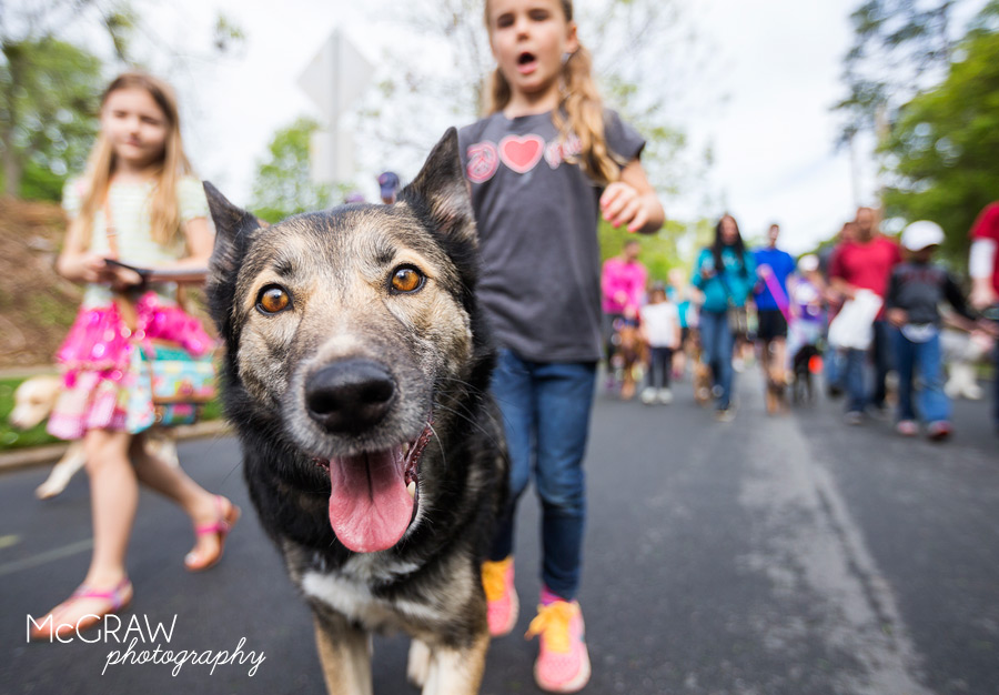 2015PetPalooza45.jpg