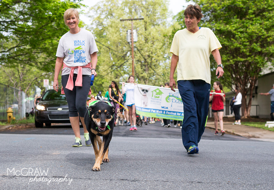 2015PetPalooza53.jpg