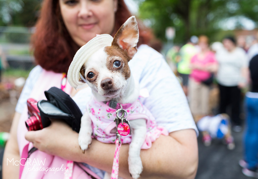 2015PetPalooza55.jpg