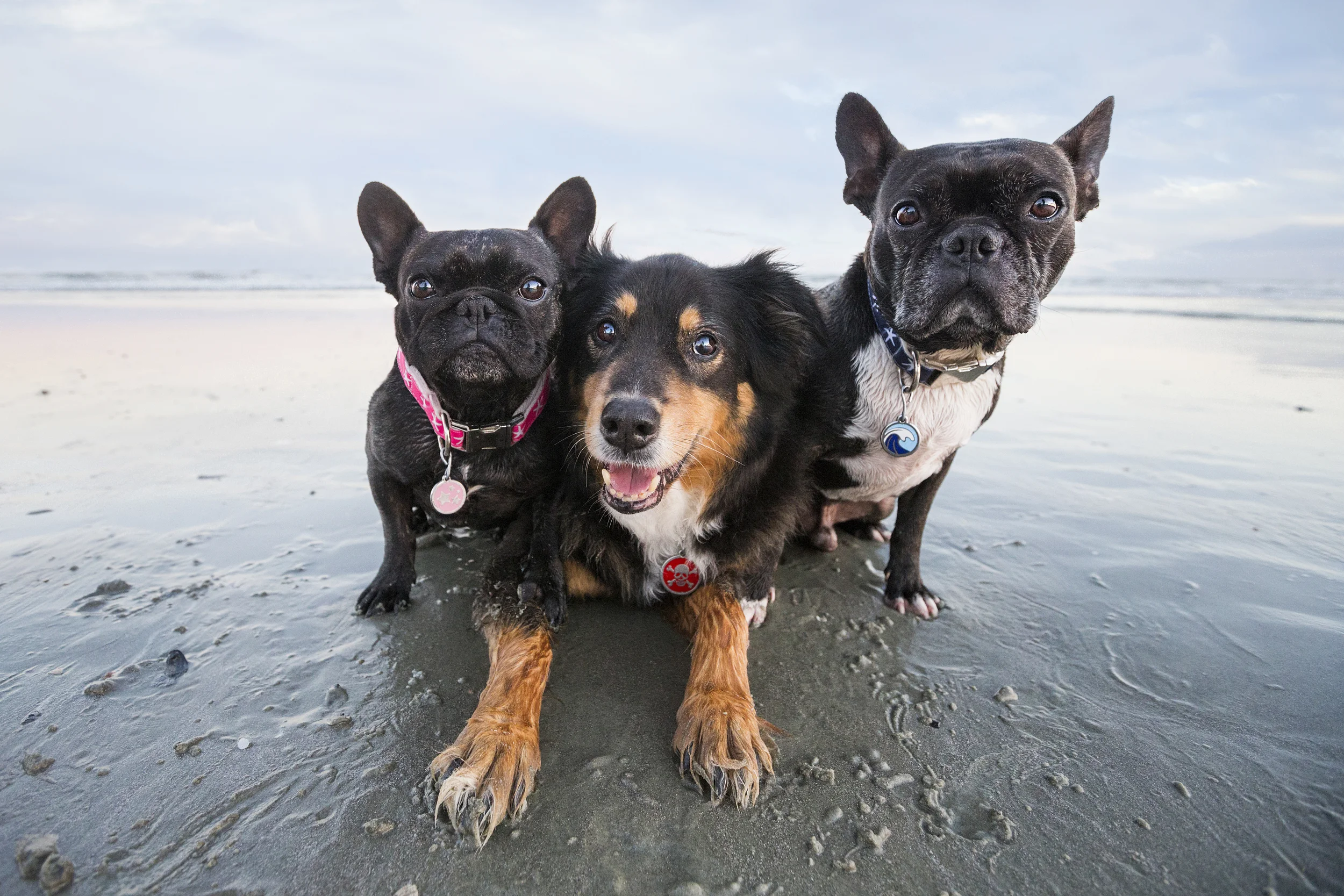 Ernie, Rookie and Lola