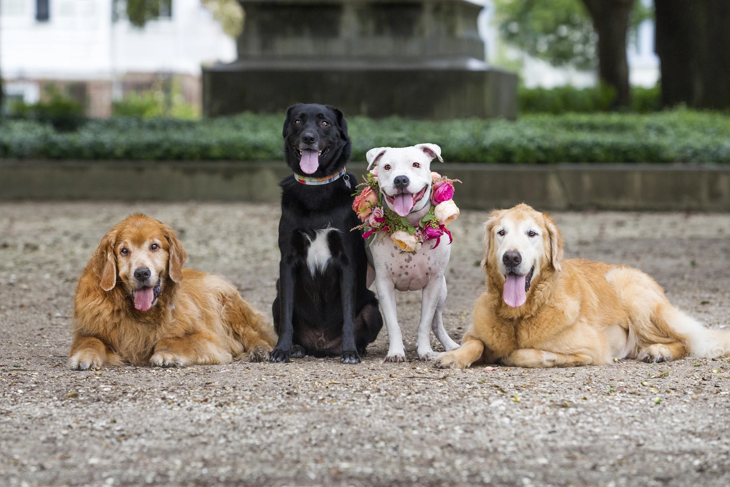 Charleston Foursome