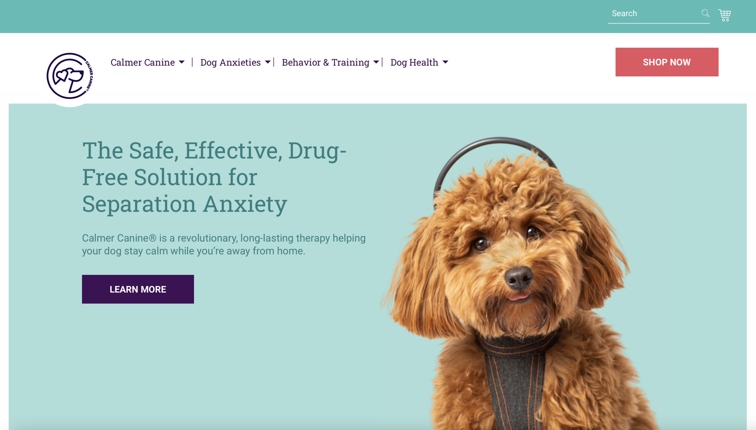 Calmer Canine - Commercial Pet Photographer