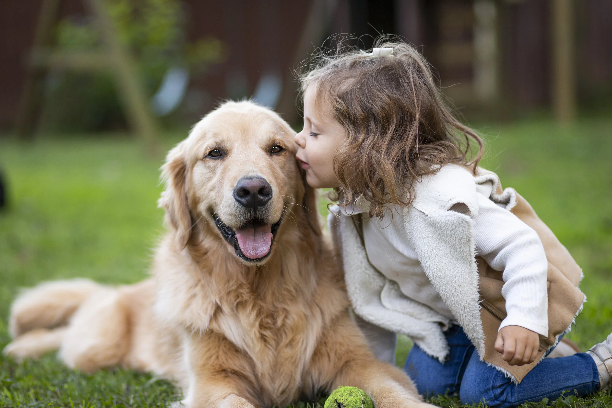 Paul Newman - Charlotte, NC Pet Photographer