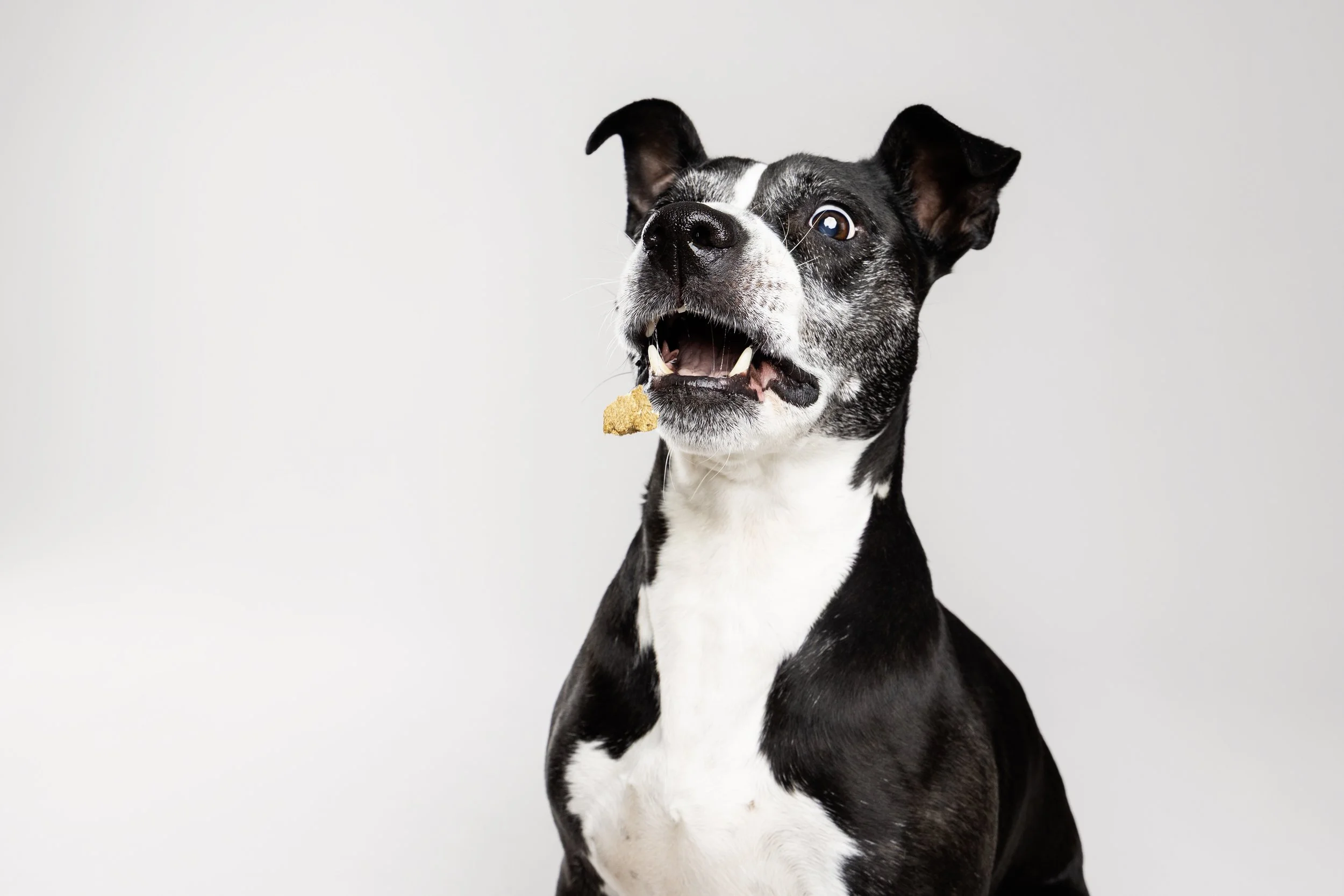 Sadie - Studio Session