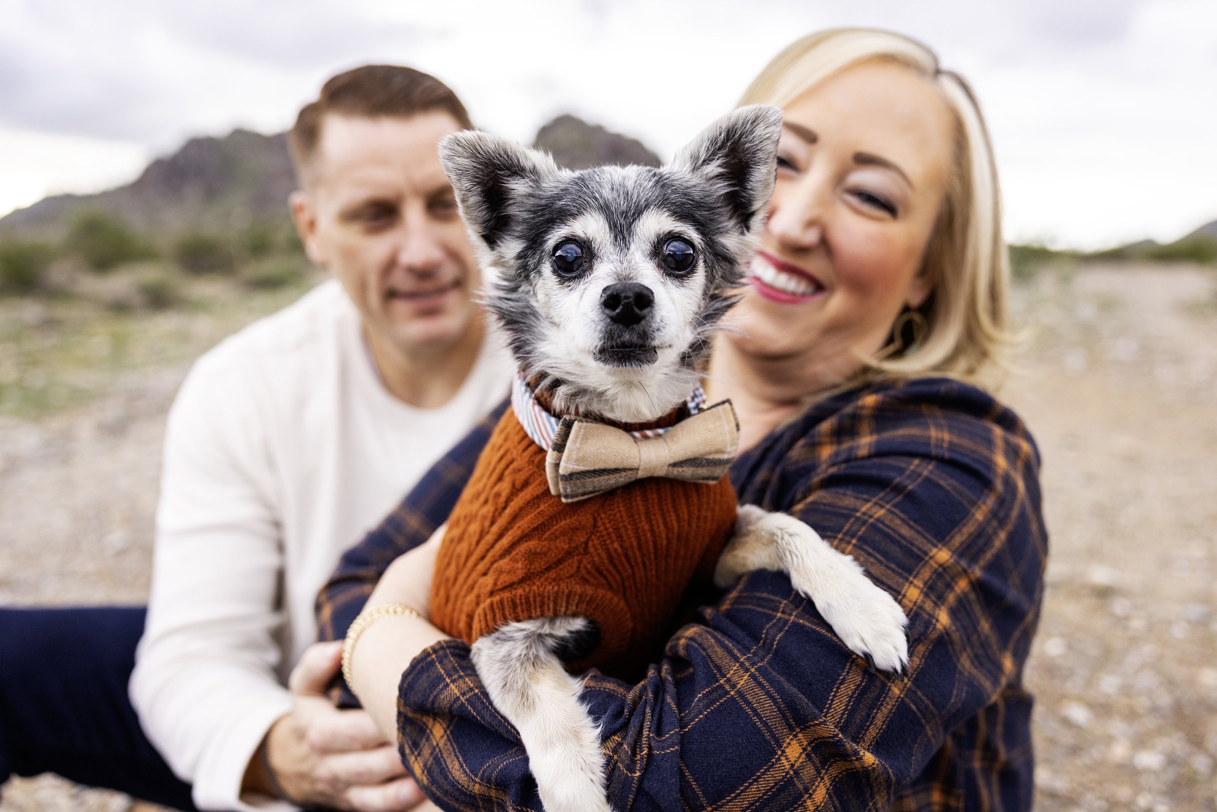 Bentley - Phoenix, AZ Dog Photographer