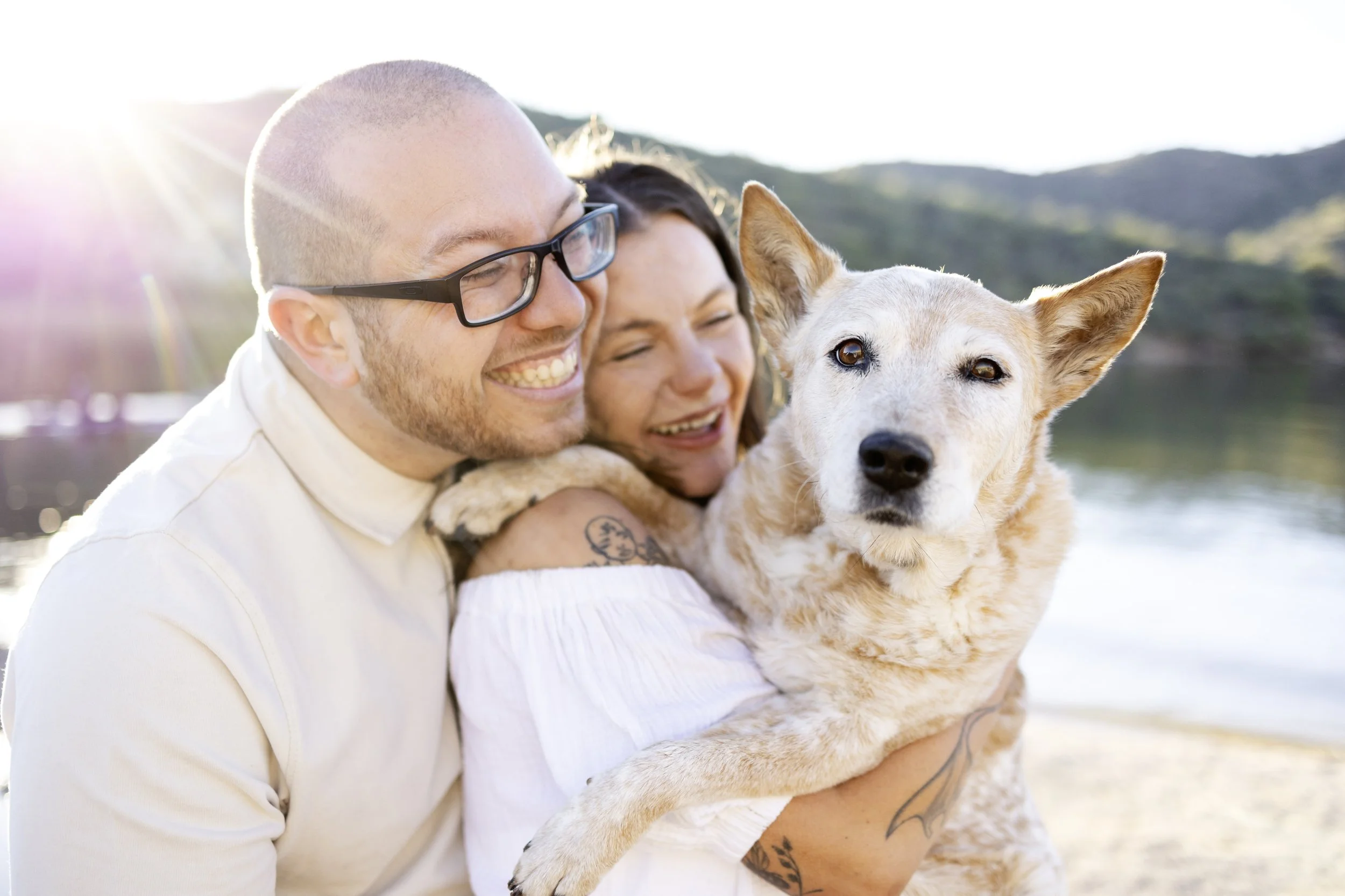 Leila - Mesa, AZ Dog Photographer