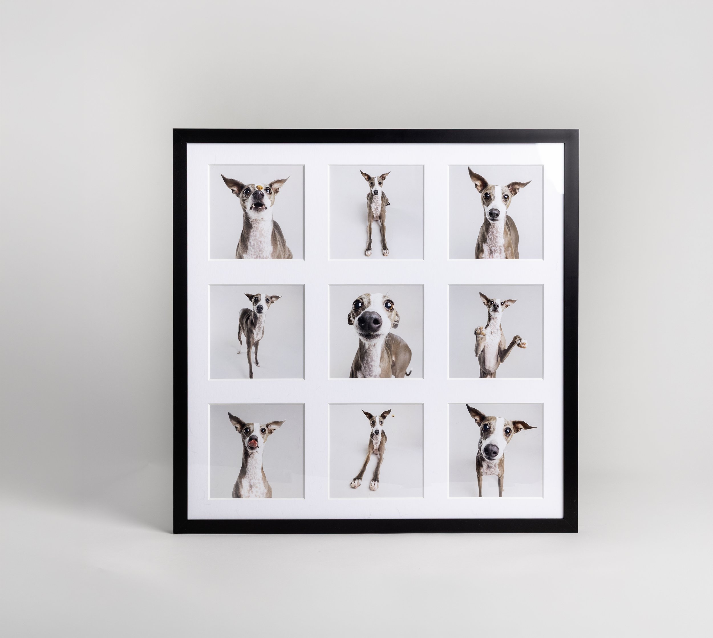 Product Spotlight - Wall Gallery