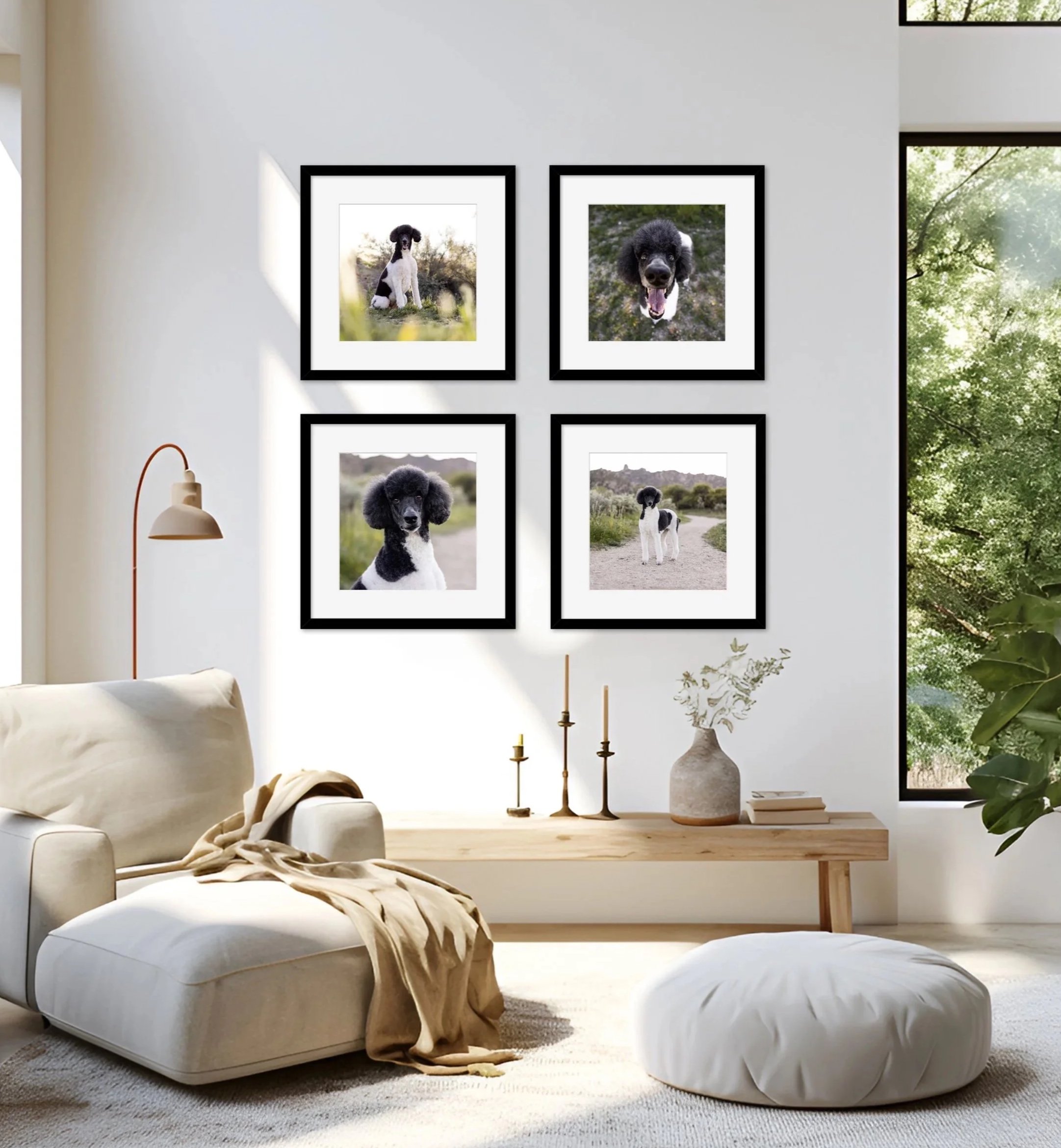 Modern living room with a white sofa, a beige blanket, and a white pouf. Four framed photos of dogs on the wall, with large windows showing trees outside. A white vase with green plant on a wooden table and a wall-mounted lampshade.