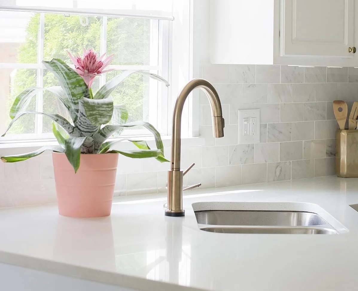 via Cukoo 4 Design.jpg