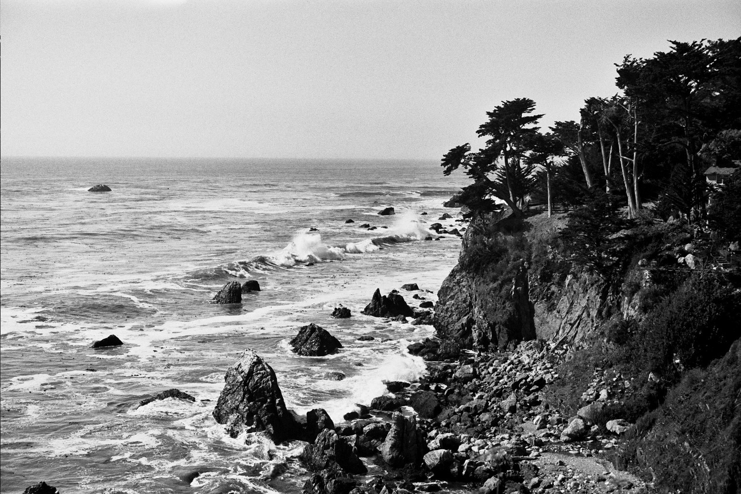 _31_0084.jpg