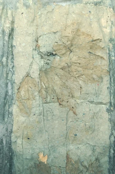 Imbue, 2015