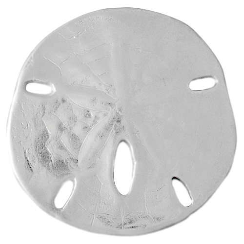 southern sand dollar.png