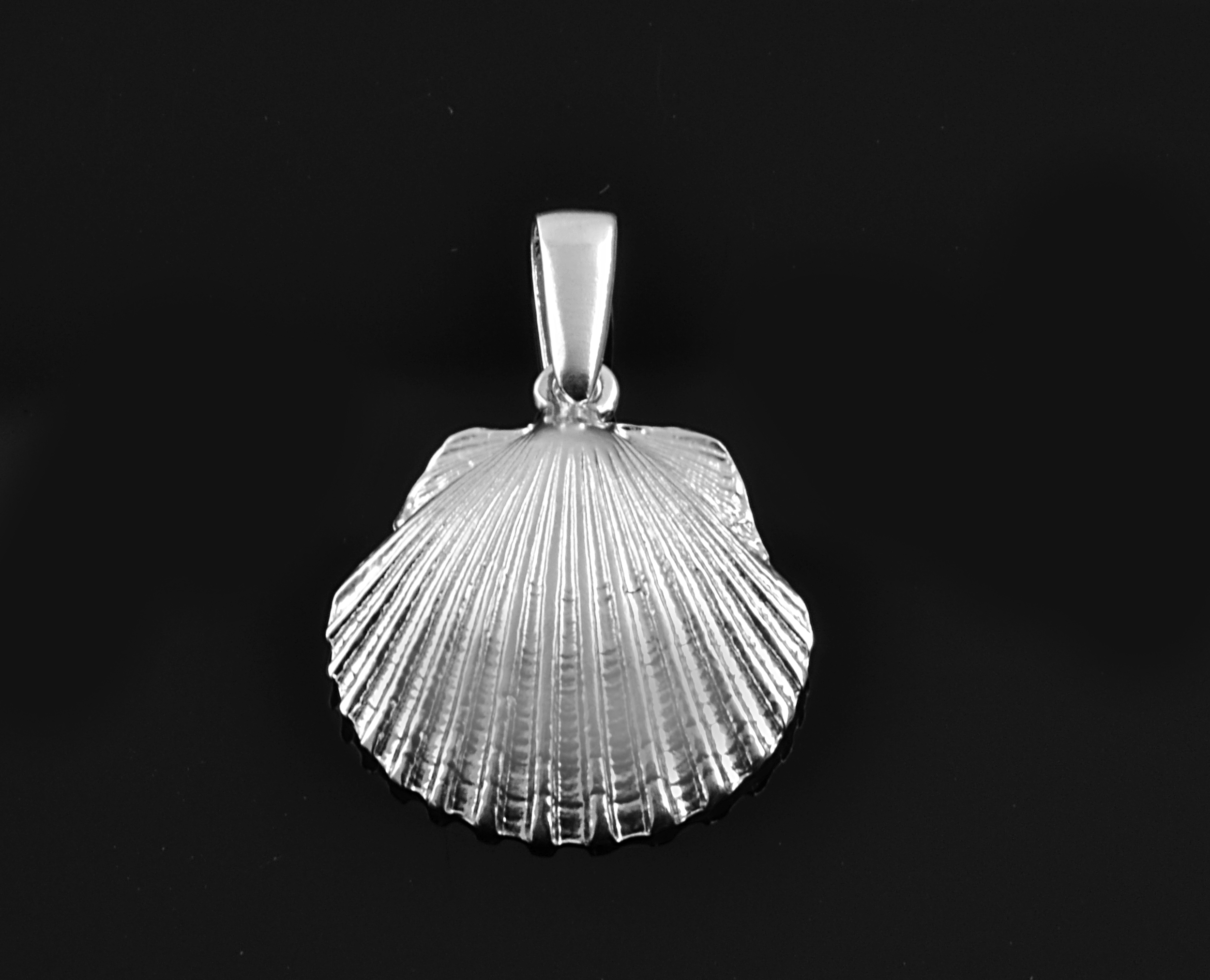 Medium Scallop Pendant — M&D Fine Jewelry