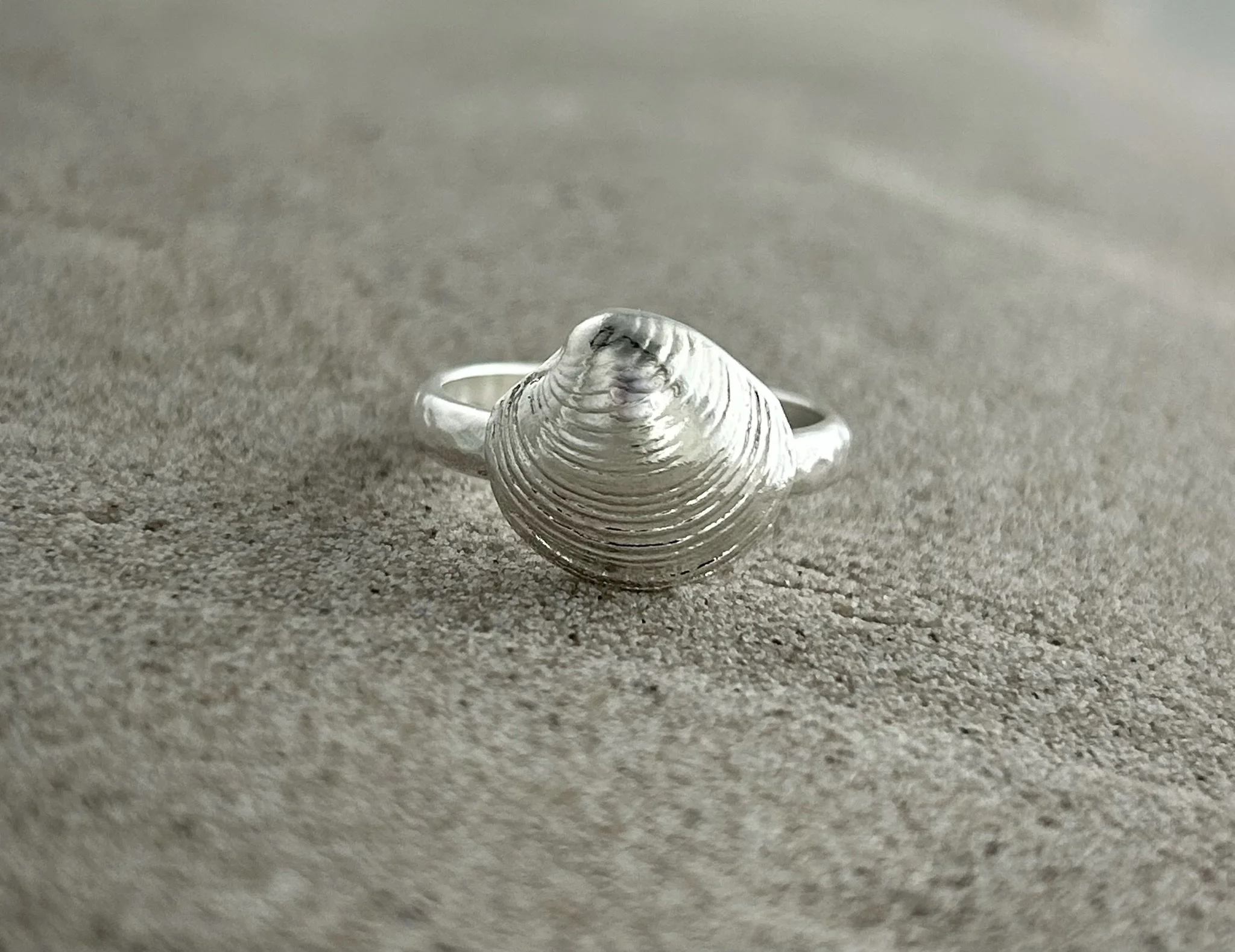 Clam Hammered Ring