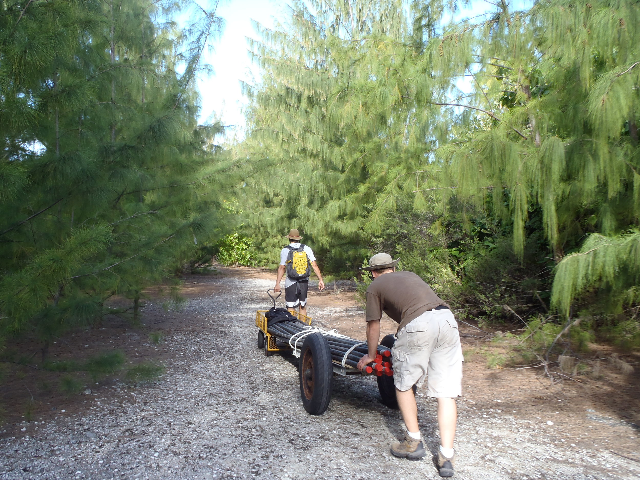 Moving equipment, Wake Atoll - Infrasound array installation - February 2015